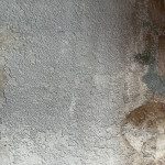 Ecaillement de la couche picturale de la fresque murale
